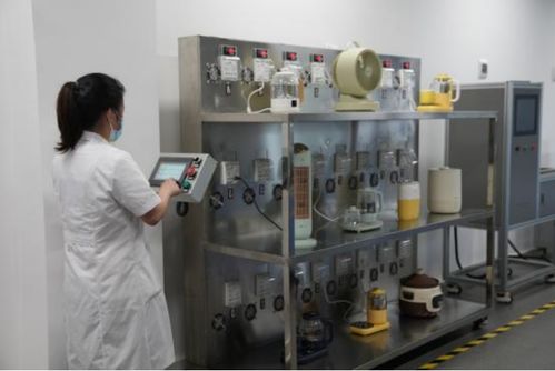 以用戶為中心，小熊電器差異化創(chuàng)新引領(lǐng)品質(zhì)生活新篇章